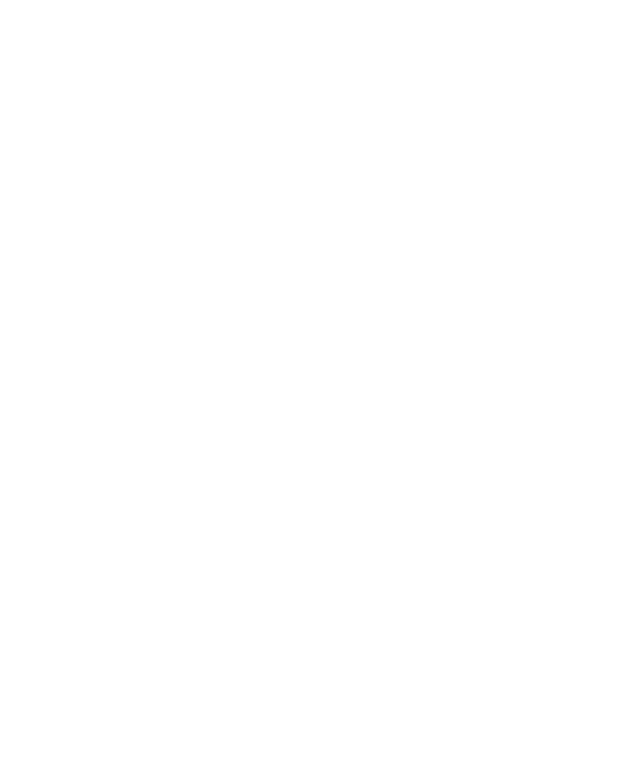 Stallion Overseas Logo